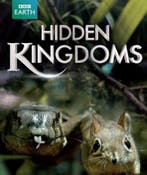 Hidden kingdoms - DVD, Verzenden, Nieuw in verpakking