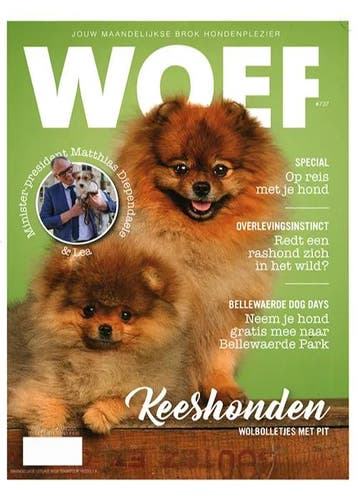 Woef - 737 2025, Verzenden, Nieuw, Sport en Vrije tijd