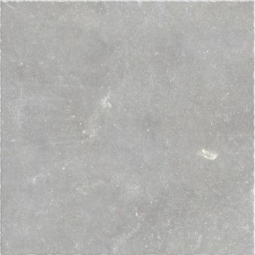 Vloertegel/Wandtegel Grijs 80x80cm (Vloeren, Bouwmaterialen), 60 cm of meer, Nieuw, Ophalen of Verzenden, 10 m² of meer