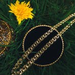 Prince of Wales schakelketting, Ophalen of Verzenden, Gebruikt, Overige kleuren, Goud