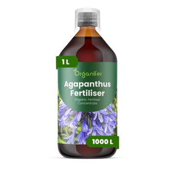 Agapanthus Vloeibare Meststof - 1 Liter, Verzenden, Mest