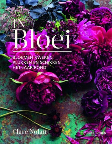 In bloei (Goed), Verzenden, Gelezen, Clare Nolan