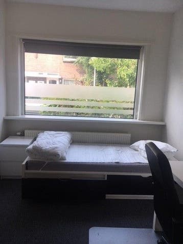 Te huur: Kamer Wilgenroosstraat in Eindhoven, Huizen en Kamers