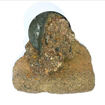 Nederland. Holland Mini schatvondst dubbele stuiver (incl.