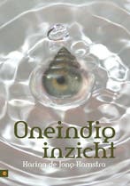 Oneindig inzicht 9789048411368 Karina de Jong-Kamstra, Verzenden, Zo goed als nieuw, Karina de Jong-Kamstra