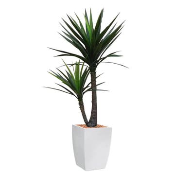 Yucca kunstplant, H200cm, Ophalen of Verzenden, Overige soorten, 200 cm of meer
