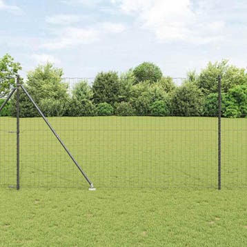 vidaXL Euro-hek met grondpennen 10 x 1,6 m PVC-Coated Staal, Tuin en Terras, Verzenden, Nieuw, IJzer
