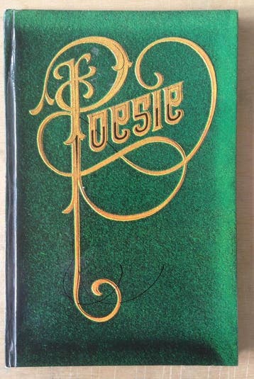 Poësie - Drs. P - Drs. P 9789070066024, Verzenden, Gelezen, Drs. P