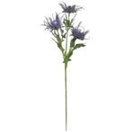 Eryngium Distel Blauw Zijdenbloem 67 cm per stuk, Ophalen of Verzenden, Nieuw