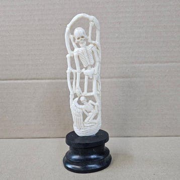 Koe Bot - Bos primigenius taurus - 18 cm - 6 cm - 1 cm - (1), Antiek en Kunst