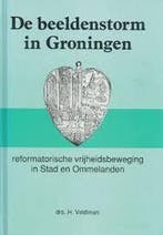 BEELDENSTORM IN GRONINGEN 9789060479322 Hans Veldman, Boeken, Verzenden, Zo goed als nieuw, Hans Veldman