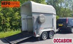 Hotra Jumper 2 paards PAARDENTRAILER/ met wat werk, Ophalen, Gebruikt, Hout, 2-paards trailer
