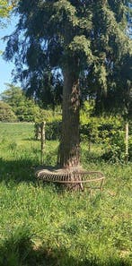 Tuinbank - halfronde boombank in antiek groene kleur -