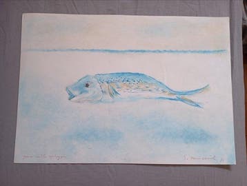 Giovanni Omiccioli (1971) - Pesce nelle spiagge