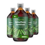 vloeibare Schefflera meststof - Set 4x1 liter, Verzenden, Mest