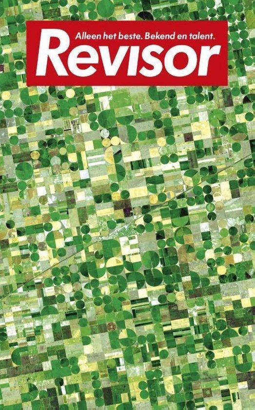 Revisor 10, Boeken, Literatuur, Ophalen of Verzenden