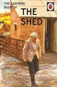 The Ladybird Book of the Shed - Jason Hazeley 9780718183585, Verzenden, Gelezen, Jason Hazeley