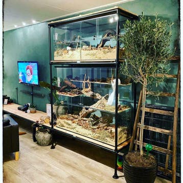 Chinchilla kooi kopen, ook geschikt voor Degoe, grote hokken, Muis, 60 tot 90 cm, Nieuw, Ophalen of Verzenden