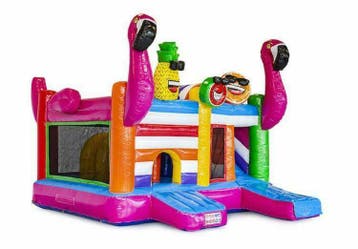 Flamingo springkussen, Nieuw, Verjaardag