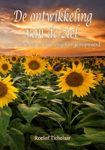 De Ontwikkeling van de Ziel - Roelof Tichelaar boek, Boeken, Esoterie en Spiritualiteit, Verzenden, Gelezen, Roelof Tichelaar