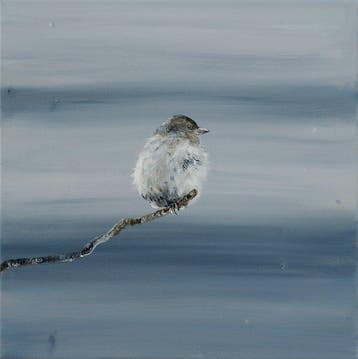 Matthieu van Riel - Bird