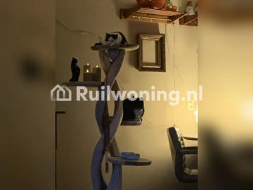 Ruil mijn huis in Tuitjenhorn voor jouw woning in Bergen, Huizen en Kamers