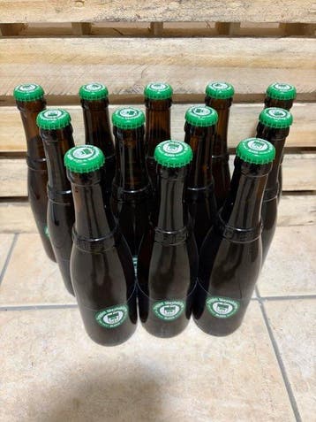 Westvleteren - VI - 33cl - 12 flessen, Nieuw