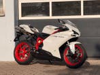 Ducati - 848 EVO - 2011, Motoren, Motoren | Oldtimers
