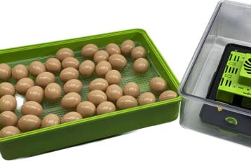 Broedmachine model NAT30H Standaard, Dieren en Toebehoren, Pluimvee | Toebehoren, Ophalen of Verzenden, Nieuw, Broedmachine