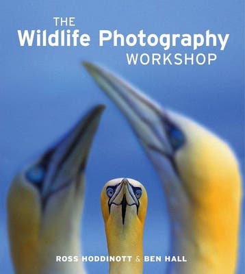 Wildlife Photography Workshop - Hoddinott 9781907708572, Verzenden, Zo goed als nieuw, Hoddinott