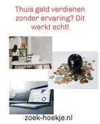 geld verdienen, Starter, Overige vormen, Overige niveaus, Geschikt als bijbaan