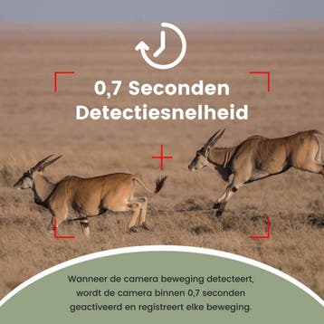 Professionele Wildcamera met nachtzicht 16MP - Wildlife, Ophalen of Verzenden, Nieuw