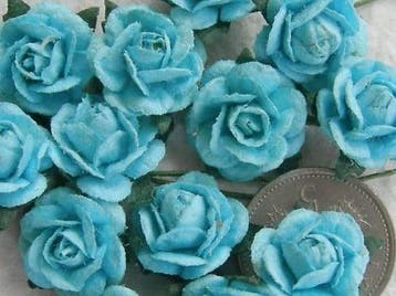 Mulberry Roosjes Turquoise Lichtblauw 10-15 mm pak, Huis en Inrichting, Ophalen of Verzenden, Nieuw