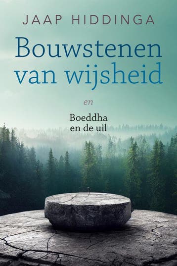 Bouwstenen van wijsheid en Boeddha en de uil - Jaap Hiddinga, Boeken, Verzenden, Gelezen, Jaap Hiddinga