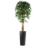 Ficus kunstplant, H250cm, Ophalen of Verzenden, Overige soorten, 200 cm of meer
