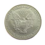 Verenigde Staten. 1 Dollar 2005 - American Silver Eagle