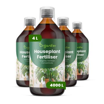 Kamerplanten vloeibare meststof - Set 4x1 liter, Verzenden, Mest