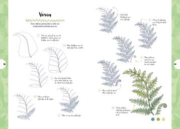 De natuur / Tekenen in 10 stappen 9789463593434 Mary Woodin, Verzenden, Gelezen, Mary Woodin