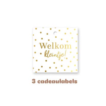3x Cadeaulabel Welkom kleintje - geboorte (Per 3 stuks), Ophalen of Verzenden, Nieuw