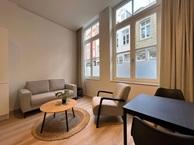 Studio Jodenstraat in Maastricht, Overige soorten, Limburg