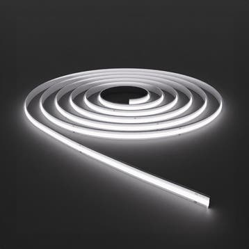 LED Strip COB - Brinton - 50 Meter - Helder/Koud Wit 6500K -, Ophalen of Verzenden, Nieuw, Overige fittingen