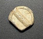 Laat-Romeins / Vroeg-Byzantijns Lood Zeer zeldzaam