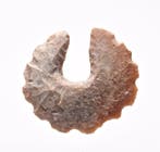 mayan Vuursteen Mayan eccentric flint sculpture - 60 mm, Antiek en Kunst