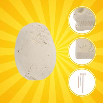 Kruzzel dinosaurus opgraafset – 5-in-1 fossielen speelgoe., Ophalen of Verzenden, Nieuw