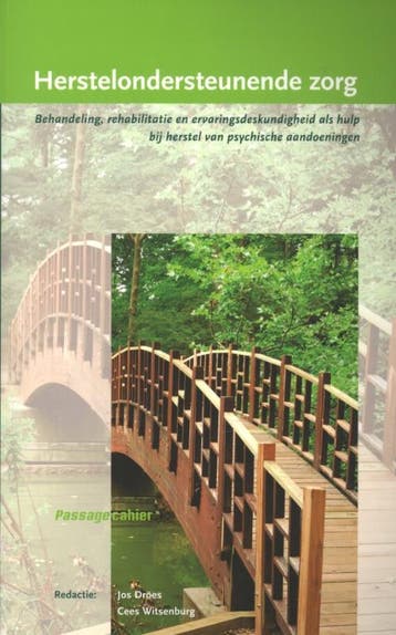 Herstelondersteunende Zorg Deel Passagecahier 9789088502989, Boeken, Zo goed als nieuw