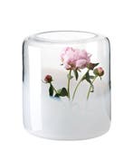 Favius - Anna Weber - Vaas - Glasgow - Glas