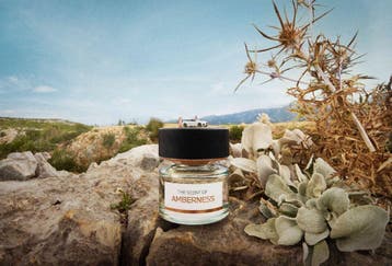 BMW Fragrance, The Scent of Amberness Eau de Parfum 50ml, Verzenden, Nieuw