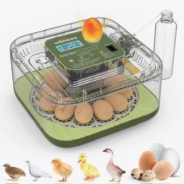 Broedmachine regelt zelf vochtigheid + gratis eieren, Dieren en Toebehoren, Pluimvee | Toebehoren, Verzenden, Nieuw, Broedmachine