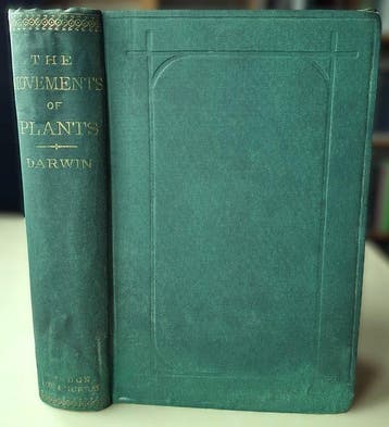 Charles Darwin - The Power of Movement in Plants [Second