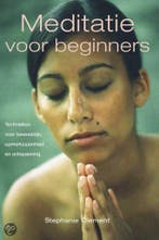MEDITATIE VOOR BEGINNERS 9789045301129 S. Clement, Verzenden, Gelezen, S. Clement